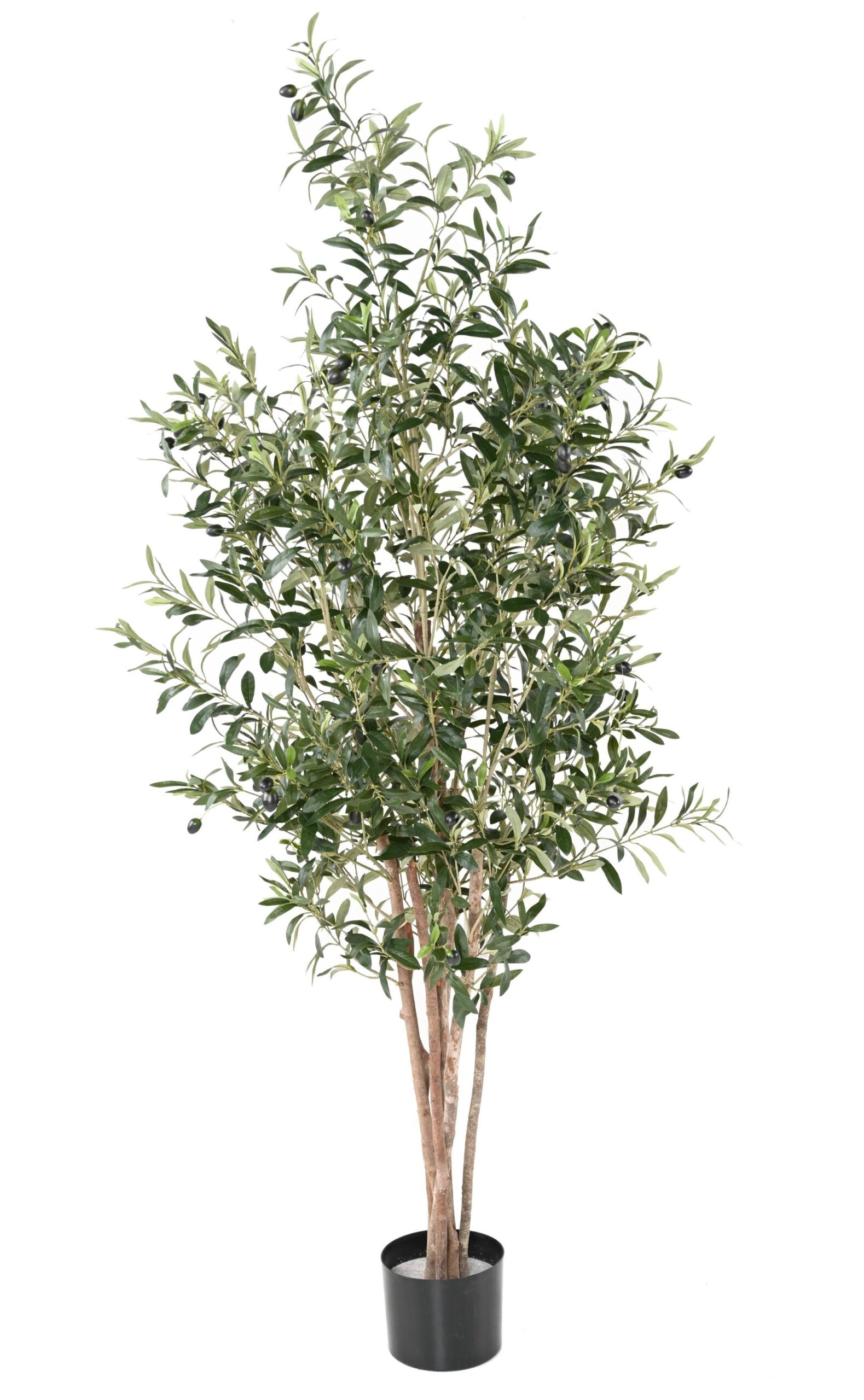 Künstlicher Olivenbaum, ca. 170cm hoch, grün 1 Künstlicher Olivenbaum, ca. 170cm hoch, grün