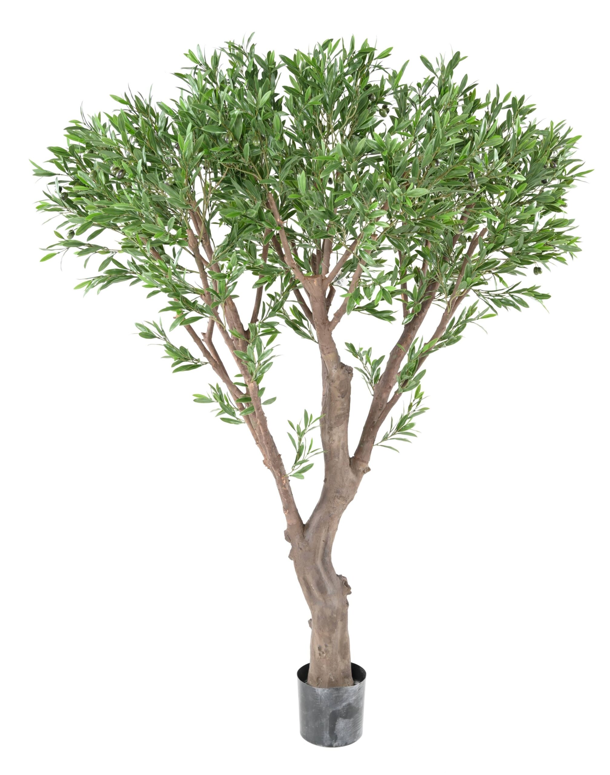 Künstlicher Olivenbaum, ca. 185cm hoch, grün 1 Künstlicher Olivenbaum, ca. 185cm hoch, grün