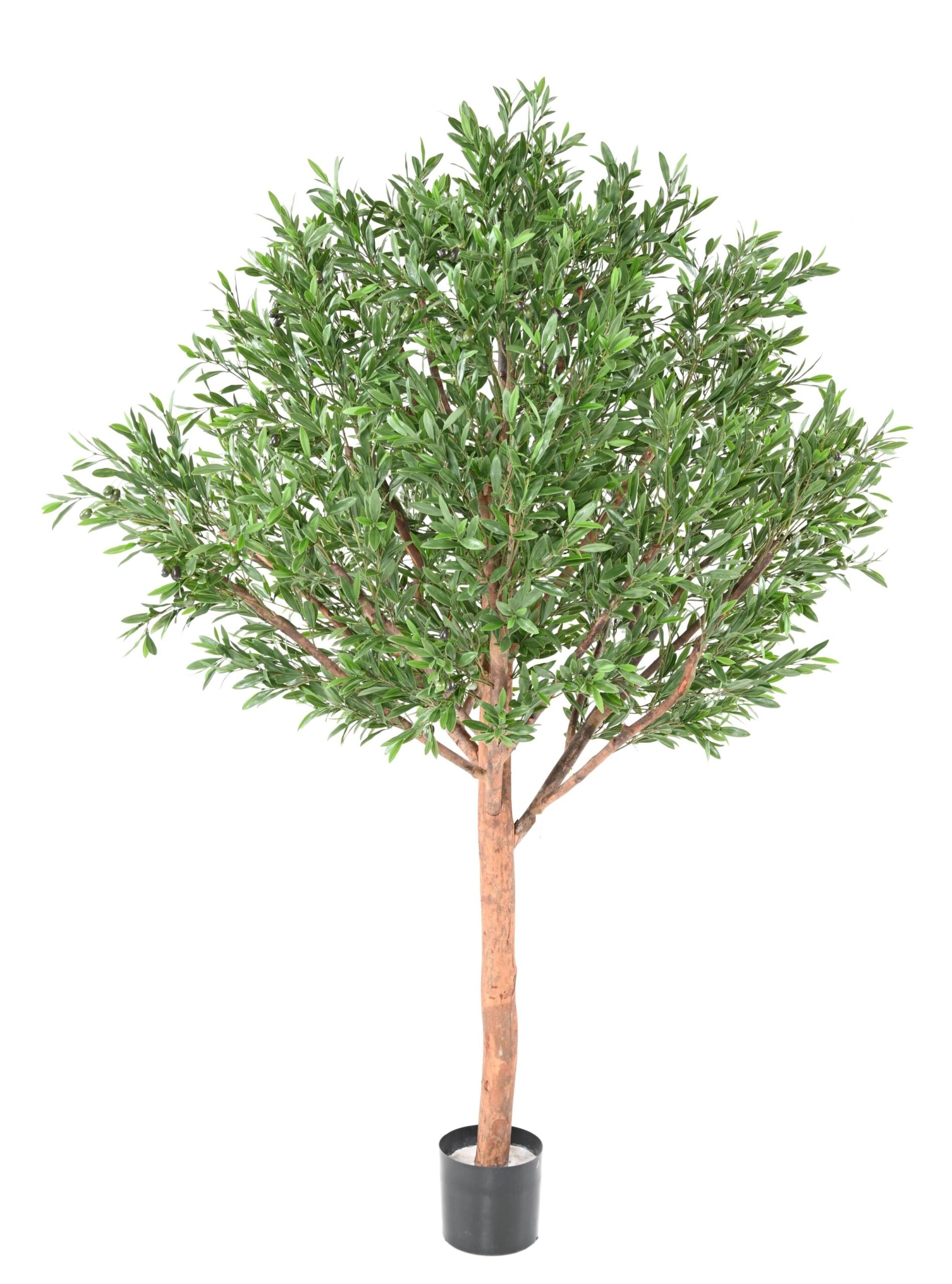 Künstlicher Olivenbaum, ca 210cm - UV-Beständig, grün 1 Künstlicher Olivenbaum, ca 210cm - UV-Beständig, grün