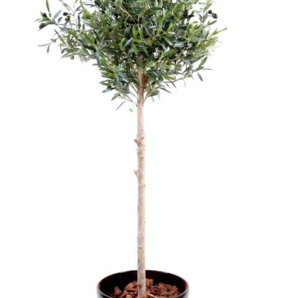 Künstlicher Olivenbaum, ca. 150cm hoch, silbergrün