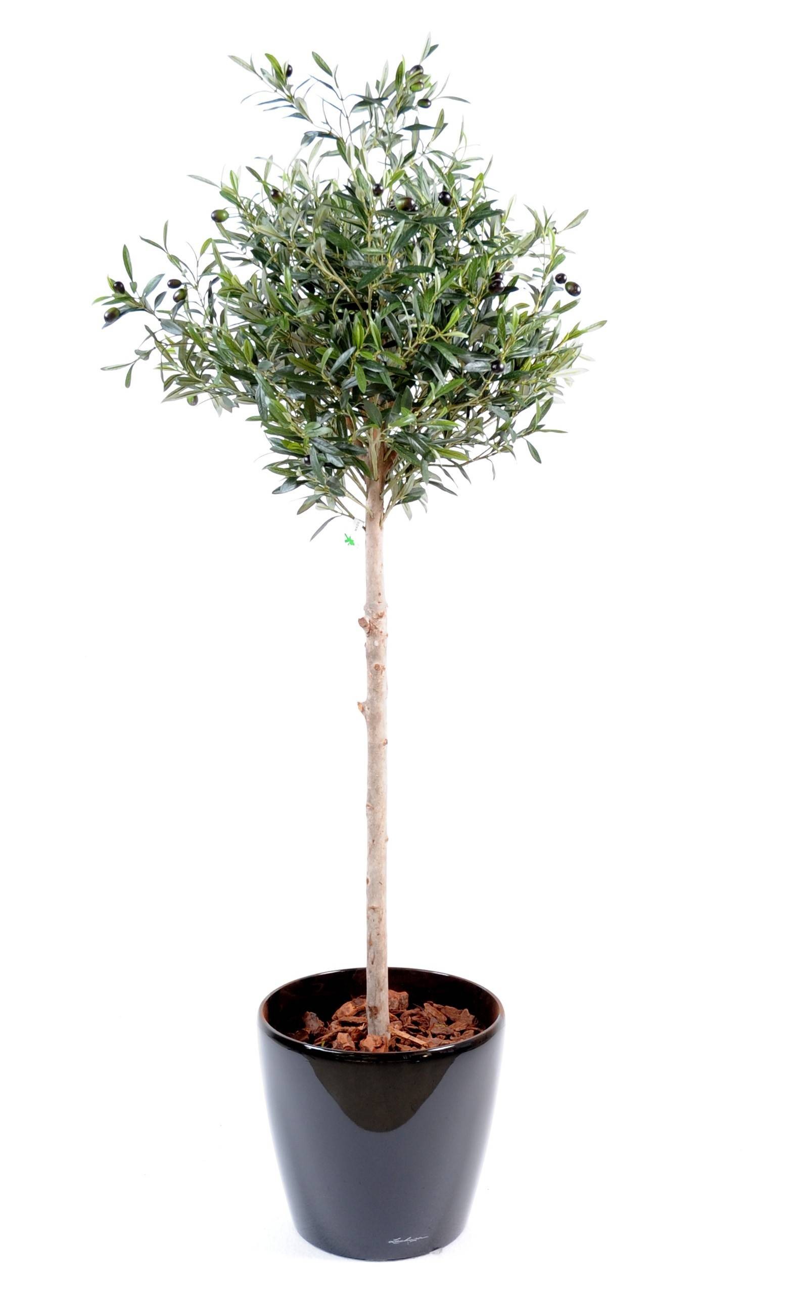 Künstlicher Olivenbaum, ca. 150cm hoch, silbergrün 1 Künstlicher Olivenbaum, ca. 150cm hoch, silbergrün