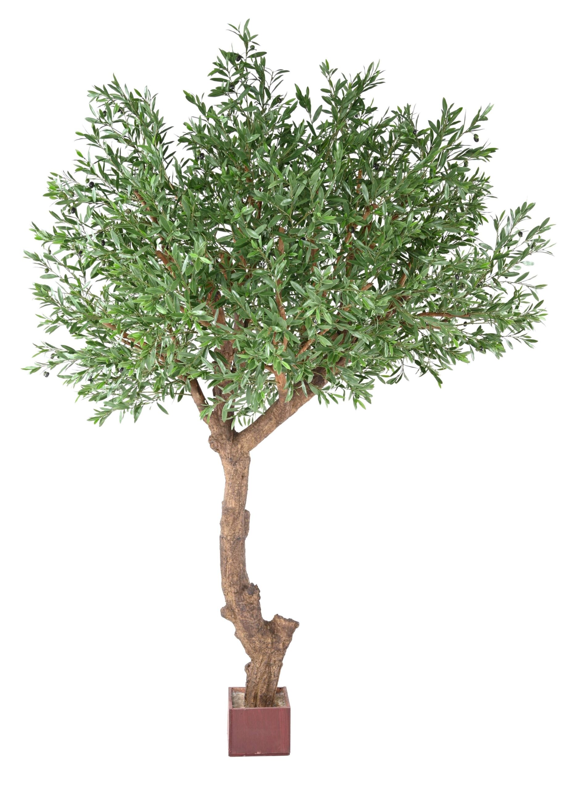 Künstlicher Olivenbaum, ca. 270cm hoch, grün 1 Künstlicher Olivenbaum, ca. 270cm hoch, grün