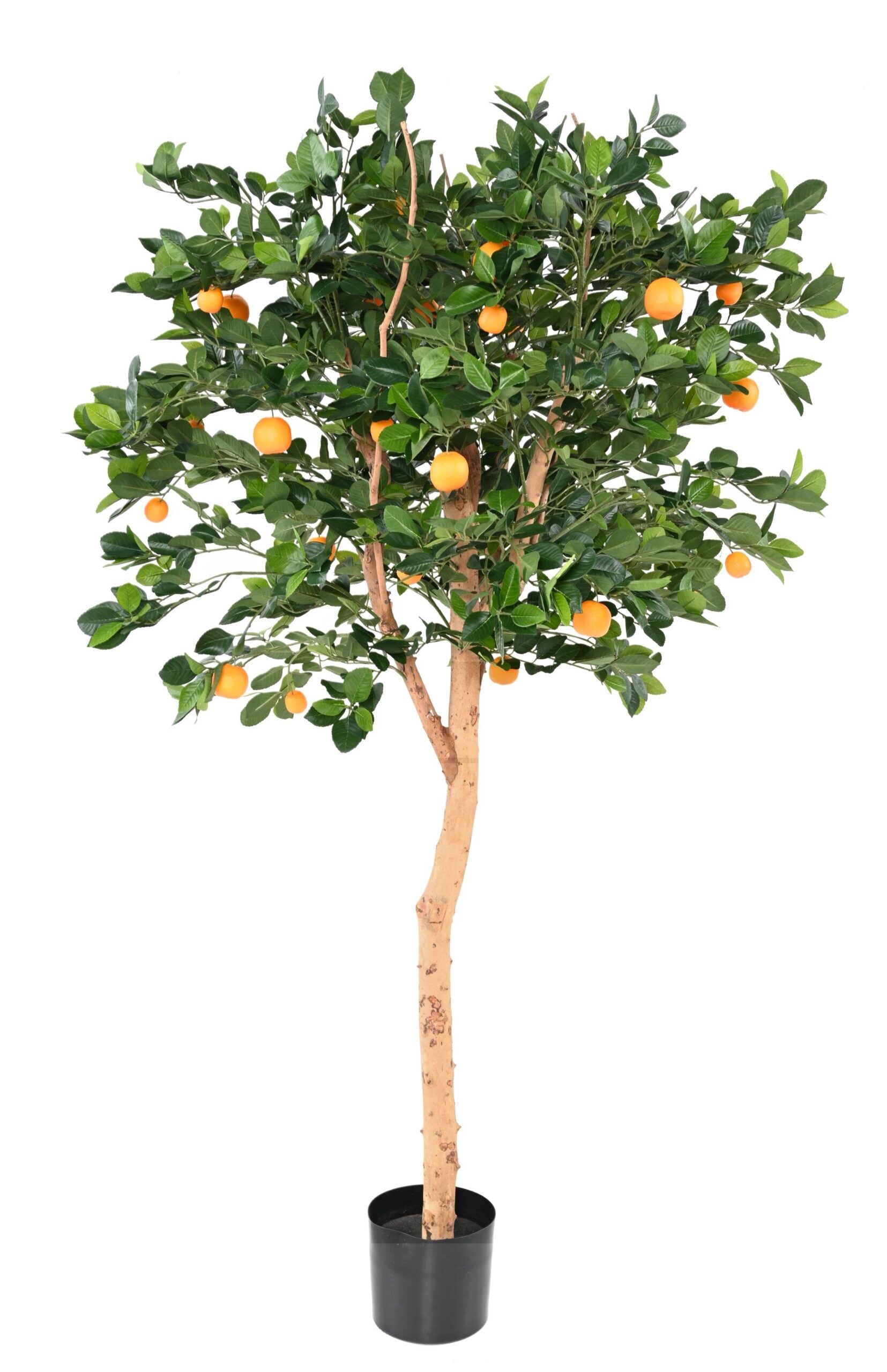 Künstlicher Orangenbaum, ca. 185cm hoch, grün 1 Künstlicher Orangenbaum, ca. 185cm hoch, grün