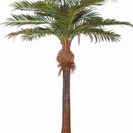 Künstliche Kokospalme, ca. 700cm, grün