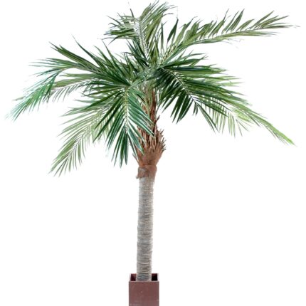 Künstliche Majestätische Palme, ca. 320cm, grün