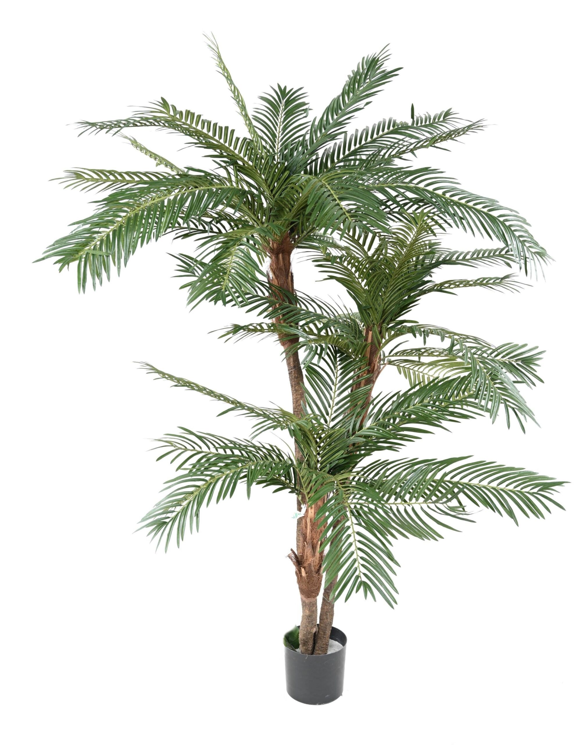 Künstliche Palme, ca. 200cm, grün 1 Künstliche Palme, ca. 200cm, grün
