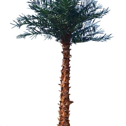Künstlicher Palmenbaum, ca. 480cm, grün