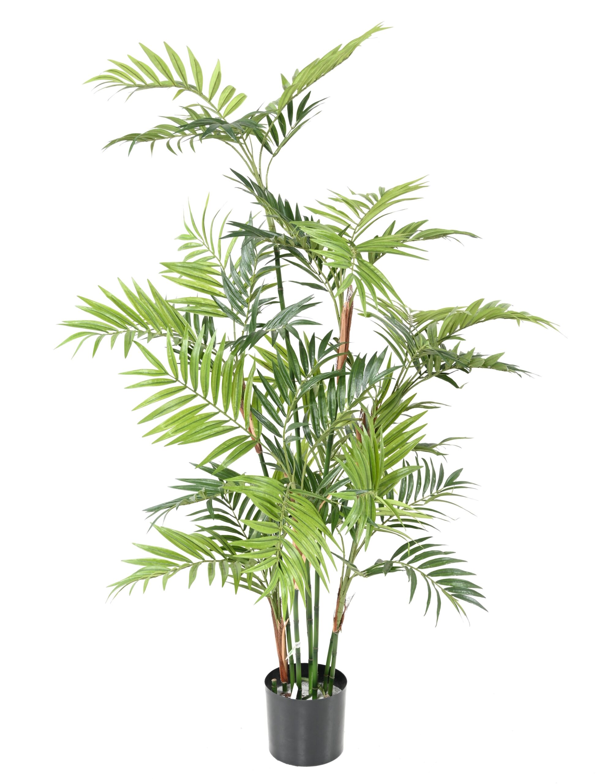 Künstliche Zimmerpalme, ca. 150cm, grün 1 Künstliche Zimmerpalme, ca. 150cm, grün