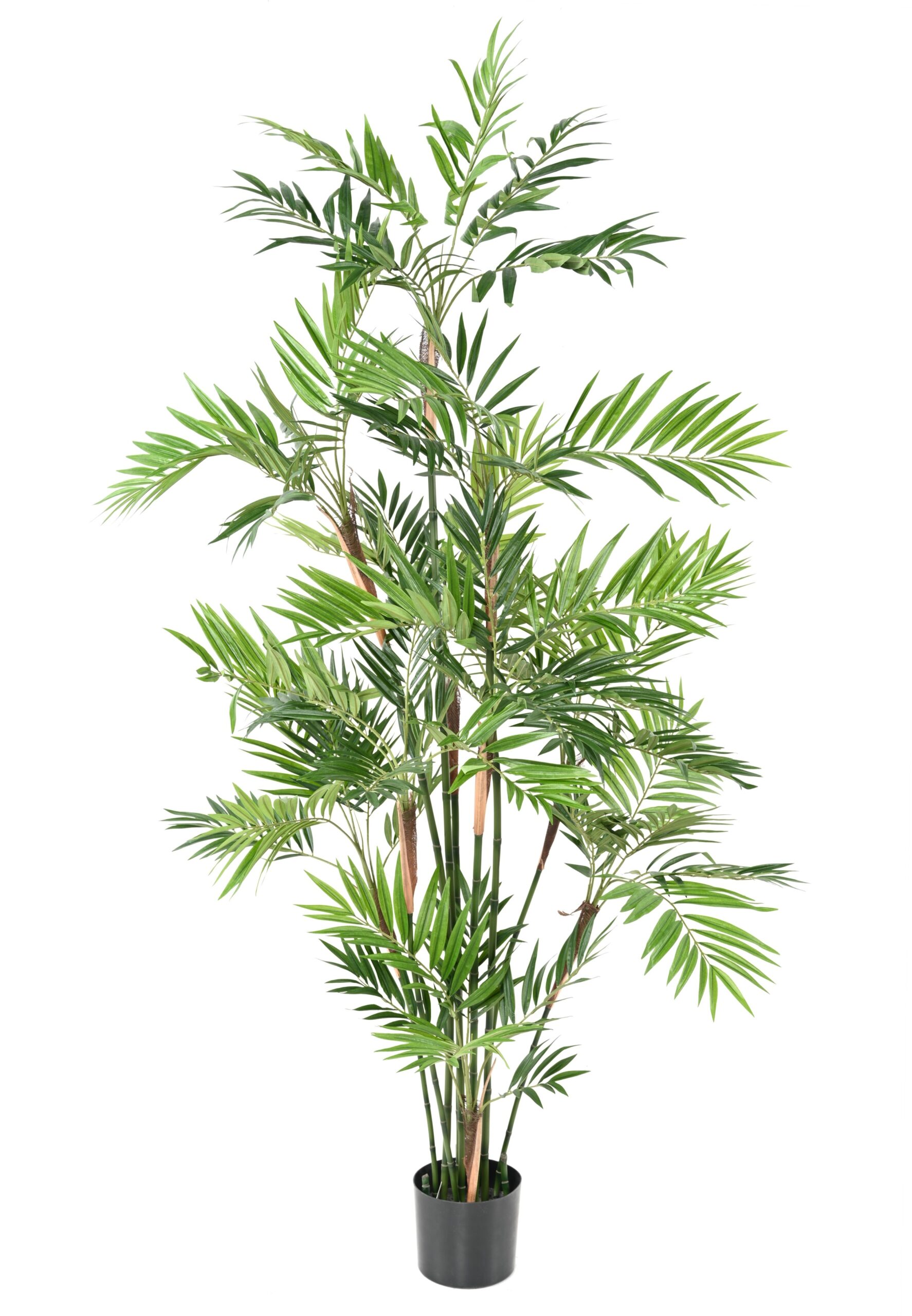 Künstliche Zimmerpalme, ca. 180cm, grün 1 Künstliche Zimmerpalme, ca. 180cm, grün