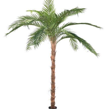 Künstliche Phoenix-Palme, ca. 370cm, grün