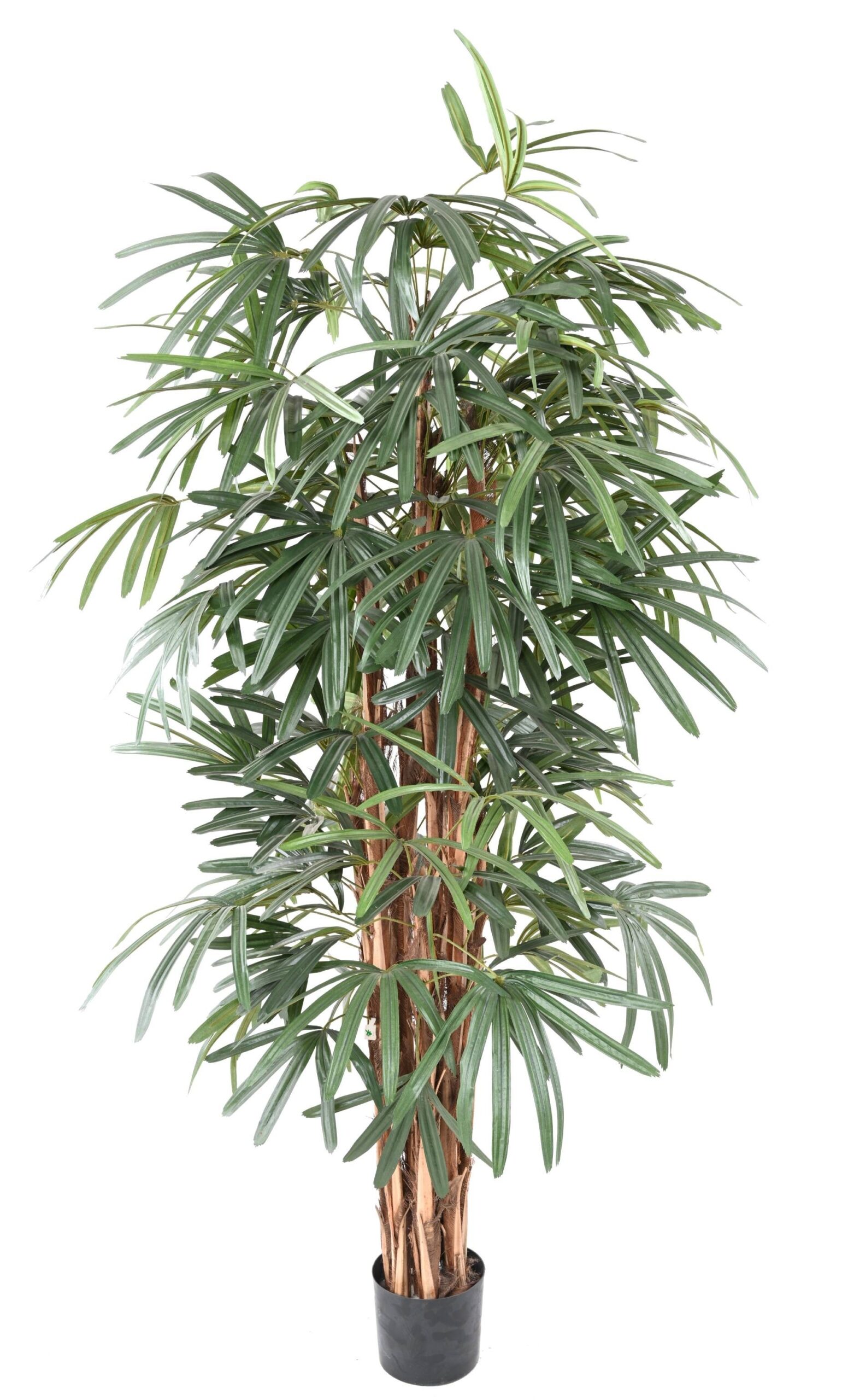 Künstlicher Rhapis Lady Palmbaum, ca. 150cm, grün 1 Künstlicher Rhapis Lady Palmbaum, ca. 150cm, grün