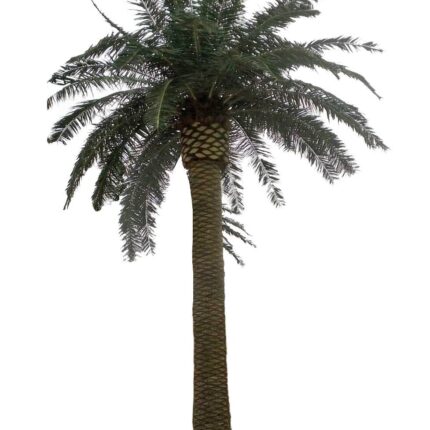 Künstliche Königspalme, ca. 530cm, grün