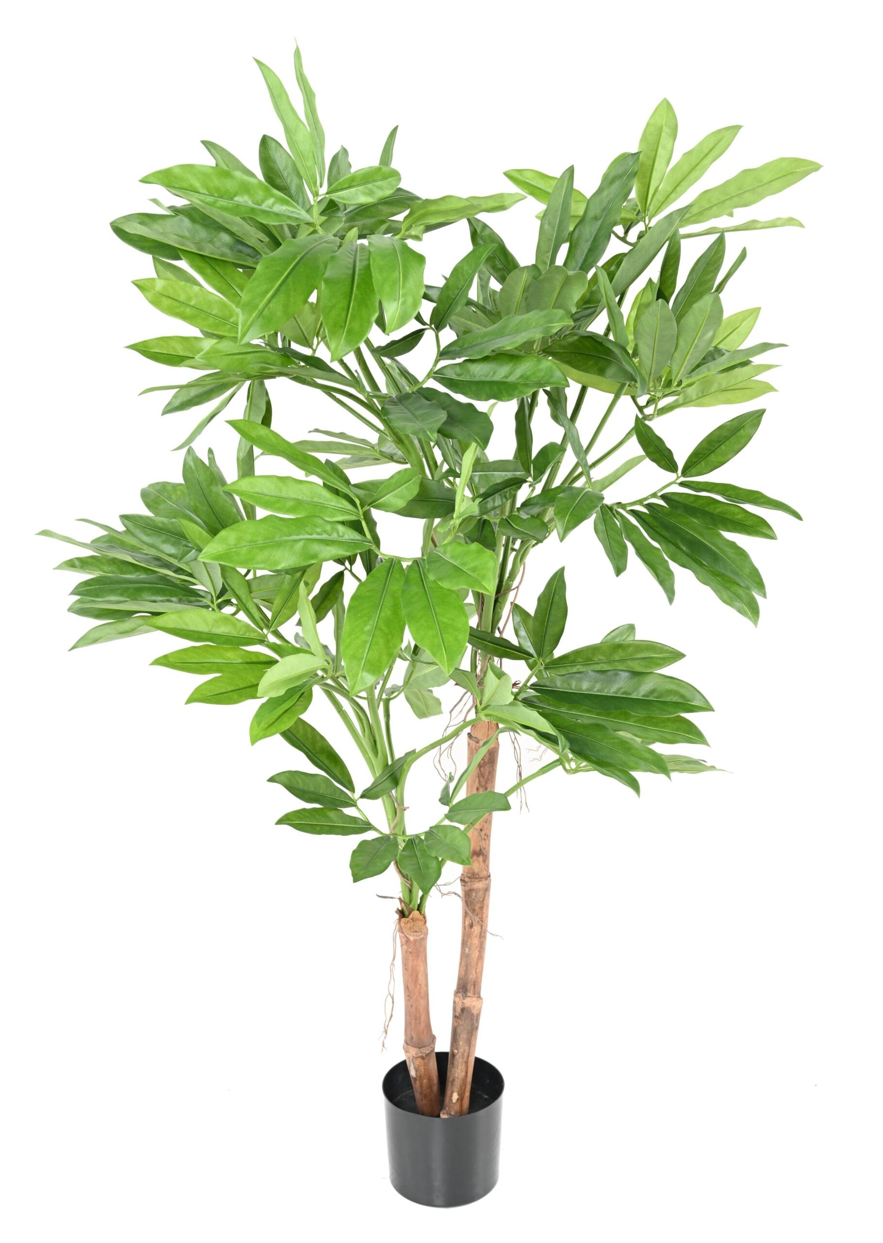 Künstlicher Philodendron Goeldii, ca. 150cm hoch, grün 1 Künstlicher Philodendron Goeldii, ca. 150cm hoch, grün