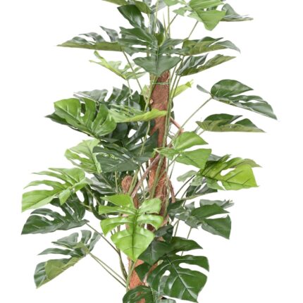 Künstliche Monstera, ca. 100cm hoch, grün
