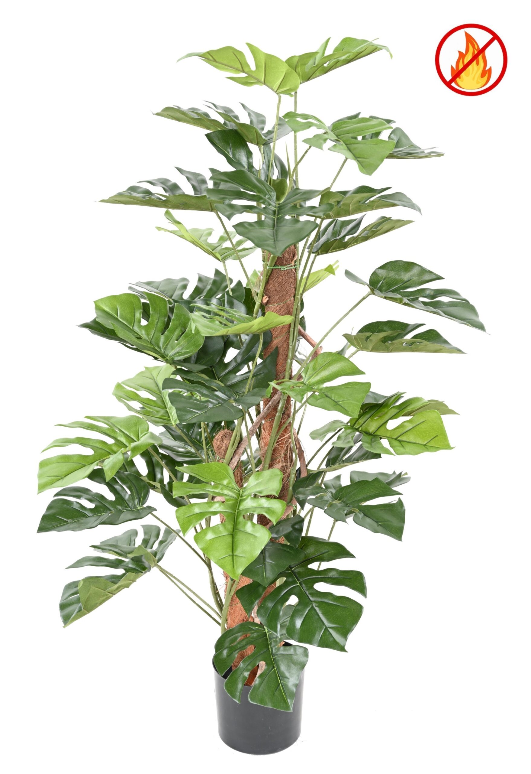 Künstliche Monstera, ca. 100cm hoch, grün 1 Künstliche Monstera, ca. 100cm hoch, grün