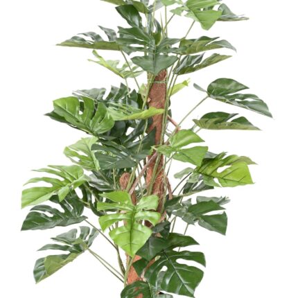 Künstliche Monstera, ca. 100cm hoch, grün