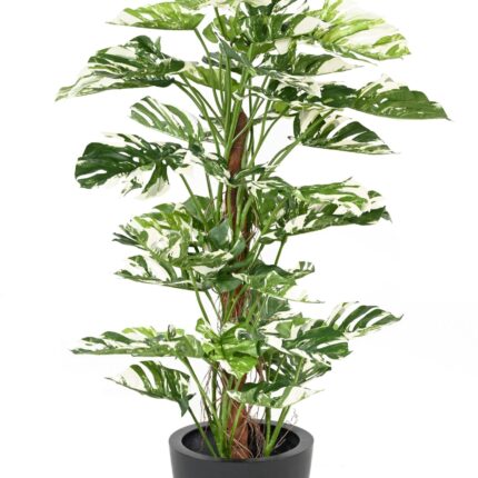 Künstlicher Philodendron Monstera, ca. 160cm hoch, grün