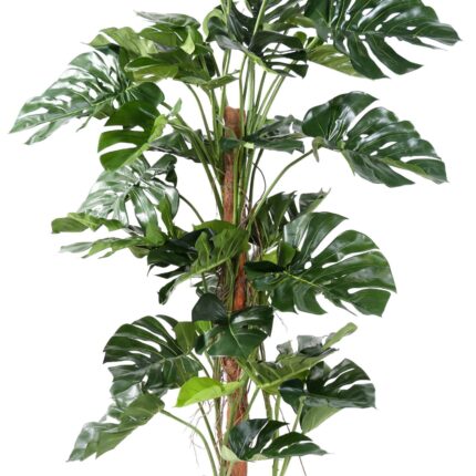 Künstlicher Philodendron Monstera, ca. 160cm hoch, grün