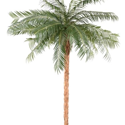 Künstliche Phoenixpalme, ca. 260cm, grün