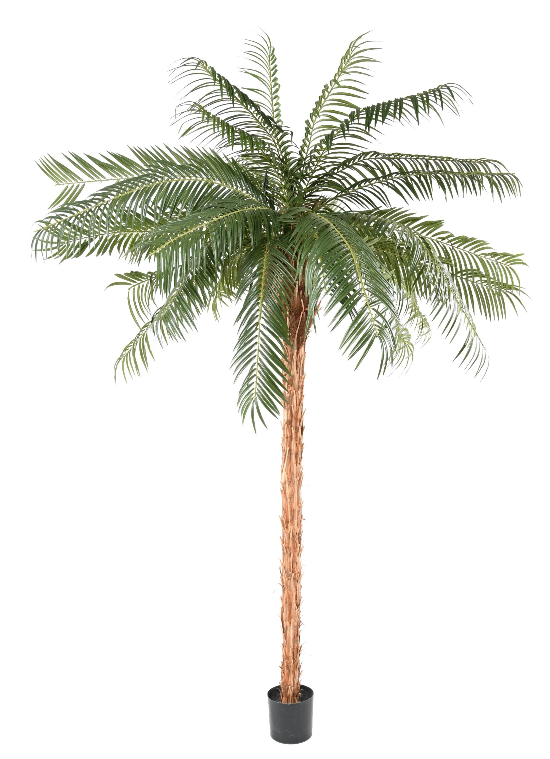 Künstliche Phoenixpalme, ca. 260cm, grün 1 Künstliche Phoenixpalme, ca. 260cm, grün