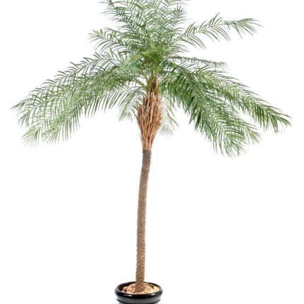 Künstlicher Phoenixbaum, ca. 220cm, grün