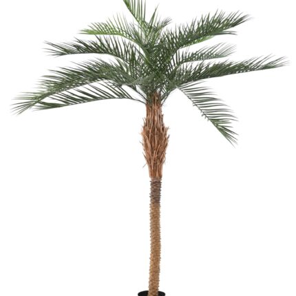 Künstlicher Phoenixbaum, ca. 220cm, grün