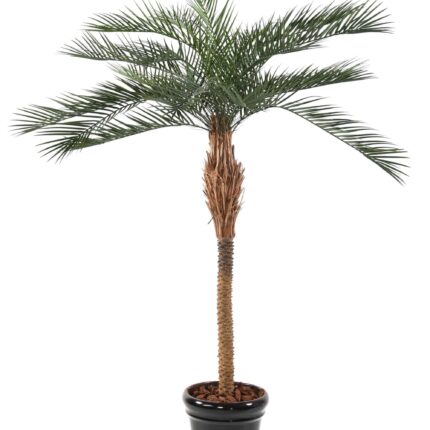 Künstlicher Phoenixbaum, ca. 290cm, grün