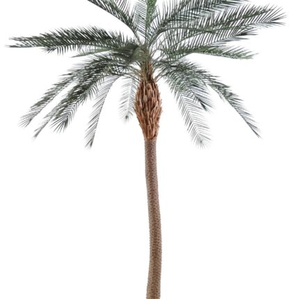 Künstlicher Phoenixbaum, ca. 280cm, grün