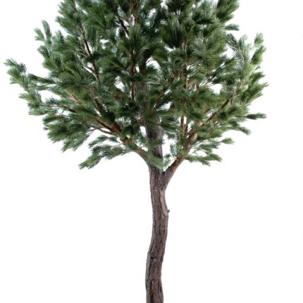 Künstliche Österreichische Kiefer, ca. 340cm hoch, grün