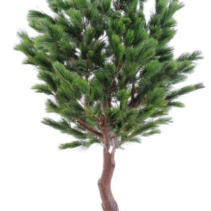 Künstliche Österreichische Kiefer, ca. 210cm hoch, grün