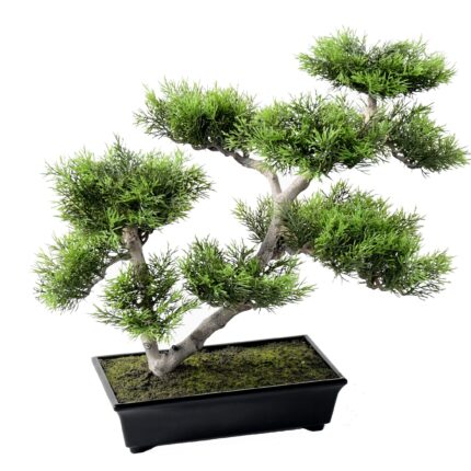 Künstliche Bonsai-Kiefer, ca. 42cm hoch, grün
