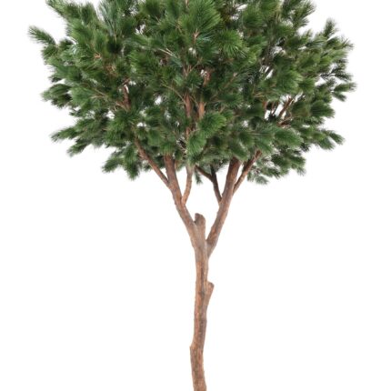 Künstliche Maritime Kiefer, ca. 310cm hoch, grün