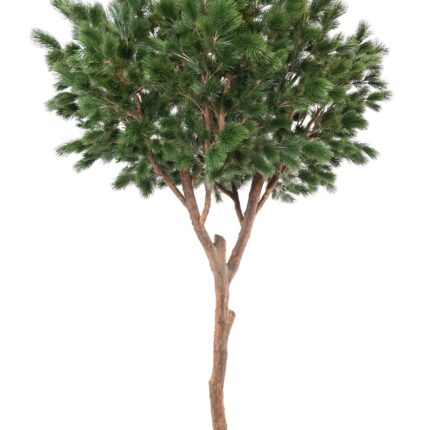 Künstliche Maritime Kiefer, ca. 310cm hoch, grün