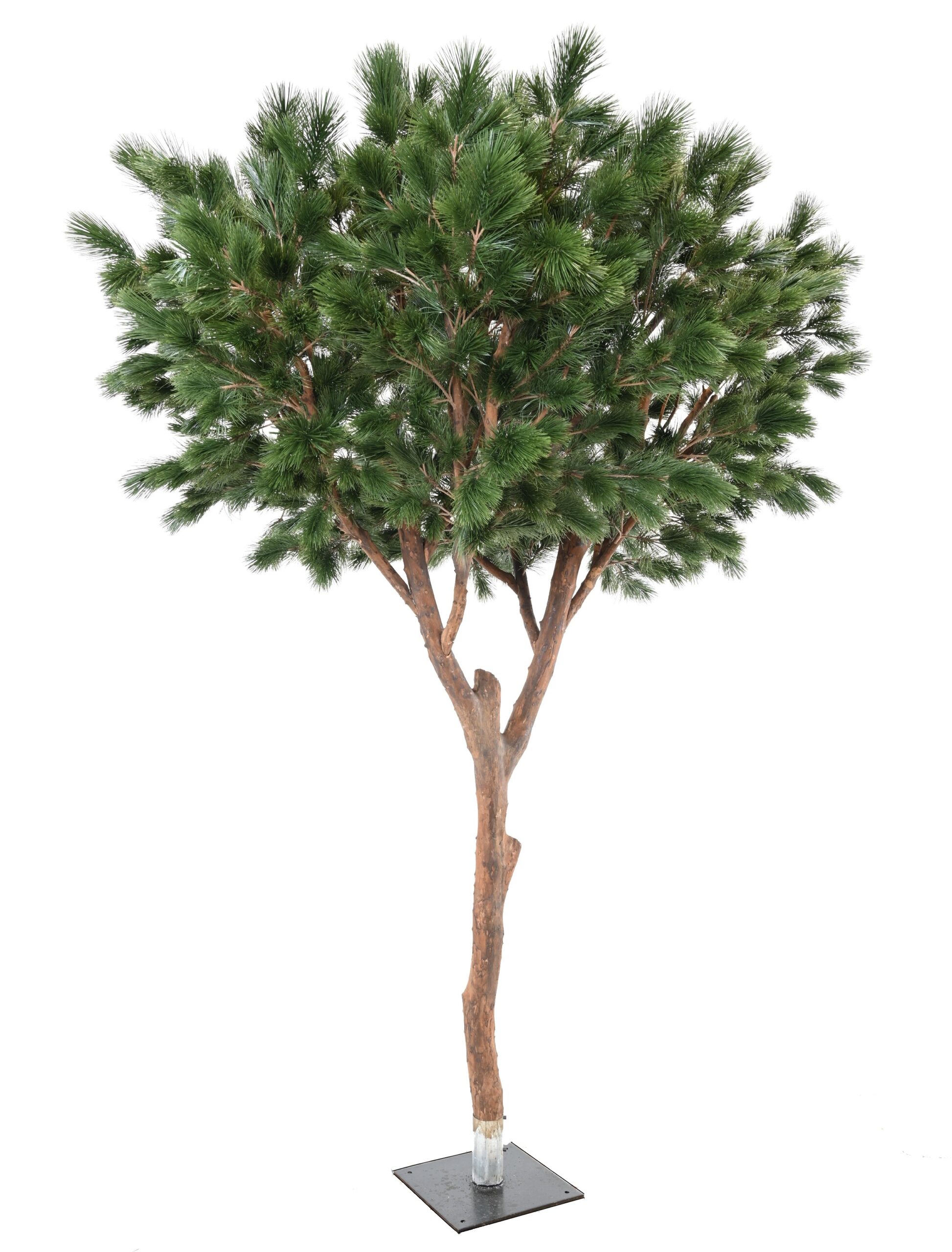 Künstliche Maritime Kiefer, ca. 310cm hoch, grün 1 Künstliche Maritime Kiefer, ca. 310cm hoch, grün