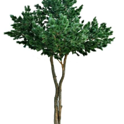 Künstliche Maritime Kiefer, ca. 430cm hoch, grün