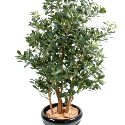 Künstlicher Pittosporum, ca. 150cm hoch, grün
