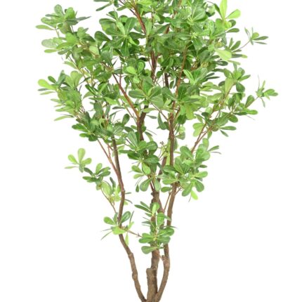 Künstlicher Pittosporum, ca. 150cm hoch, grün