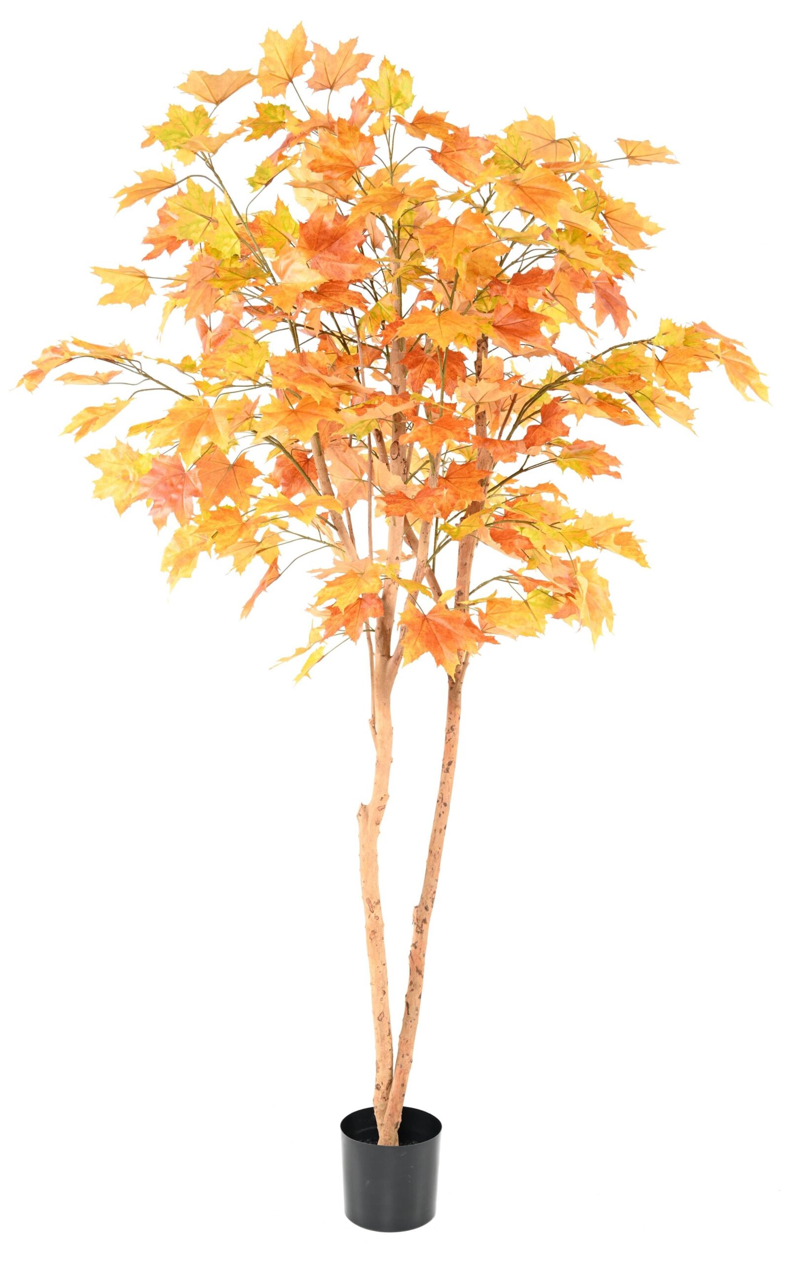 Künstlicher Platanenbaum, ca. 240cm hoch 1 Künstlicher Platanenbaum, ca. 240cm hoch