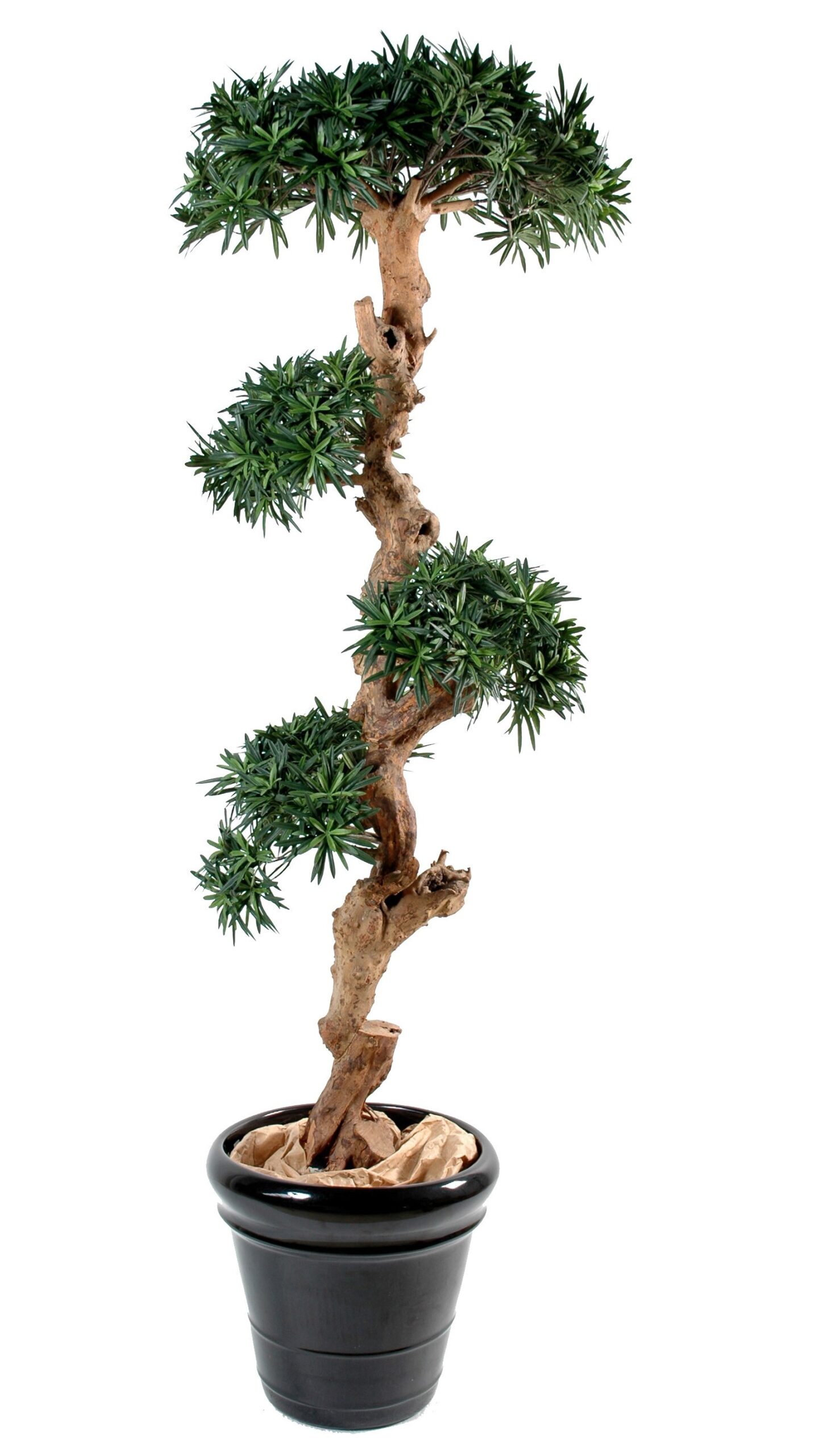 Künstlicher Podocarpus Wolkenbaum, ca. 110cm hoch, grün 1 Künstlicher Podocarpus Wolkenbaum, ca. 110cm hoch, grün