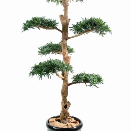 Künstlicher Podocarpus Baum, ca. 150cm hoch, grün