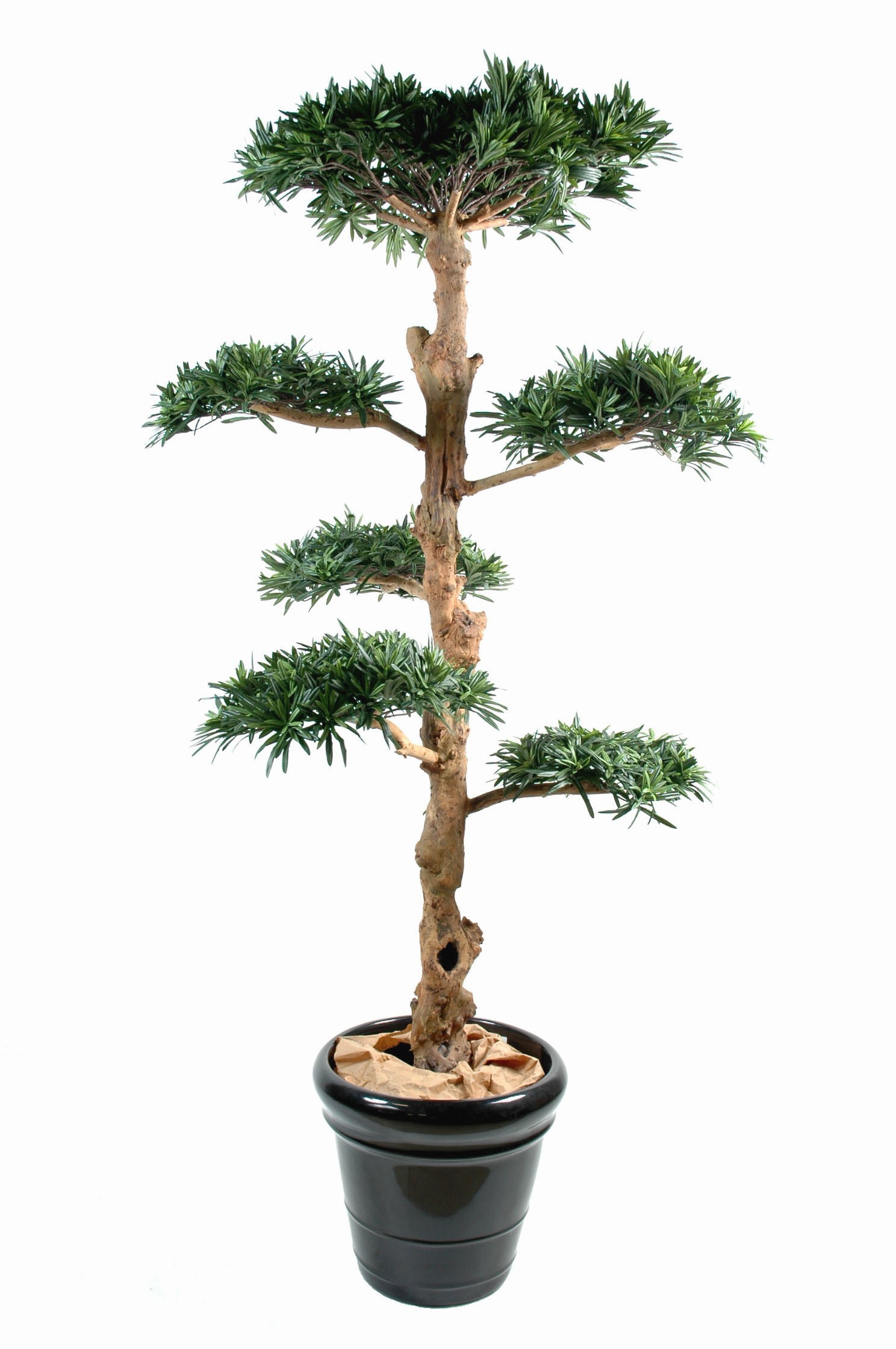 Künstlicher Podocarpus Baum, ca. 150cm hoch, grün 1 Künstlicher Podocarpus Baum, ca. 150cm hoch, grün