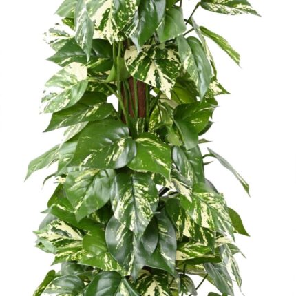 Künstlicher Pothos, ca. 100cm hoch, leuchtend grün