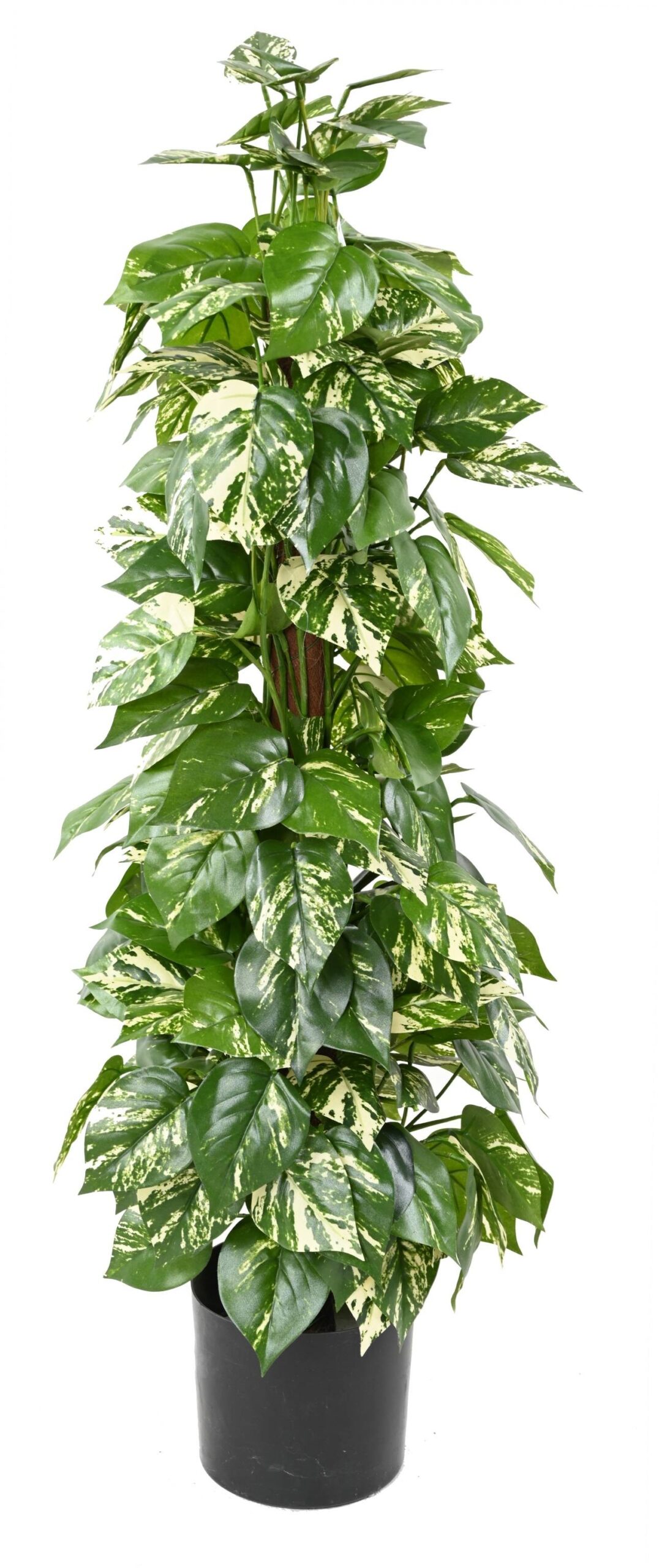 Künstlicher Pothos, ca. 100cm hoch, leuchtend grün 1 Künstlicher Pothos, ca. 100cm hoch, leuchtend grün
