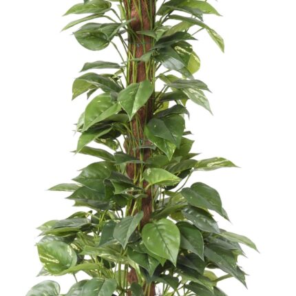Künstliche Pothos auf Stamm, ca. 130cm hoch