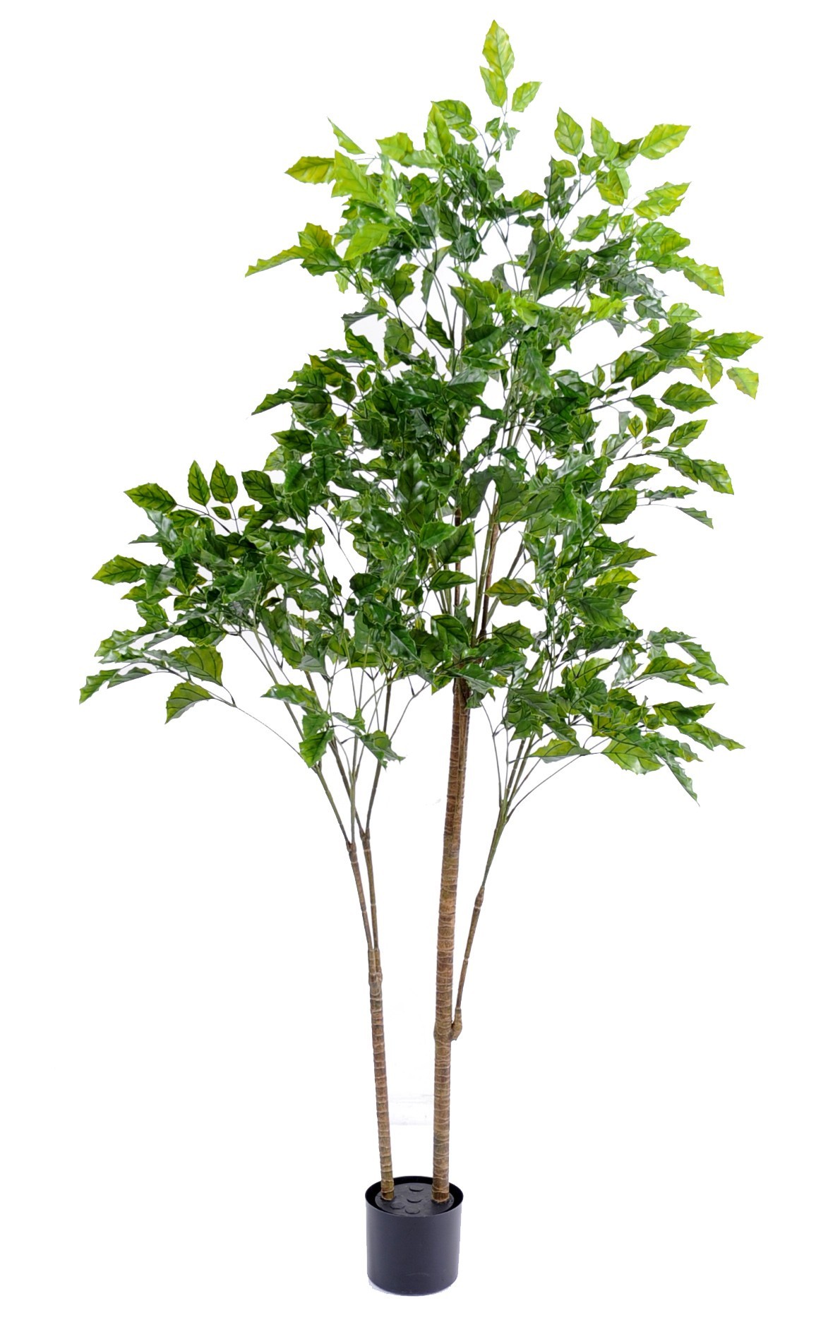 Künstlicher Rosenholzbaum, ca. 175cm hoch, braun 1 Künstlicher Rosenholzbaum, ca. 175cm hoch, braun