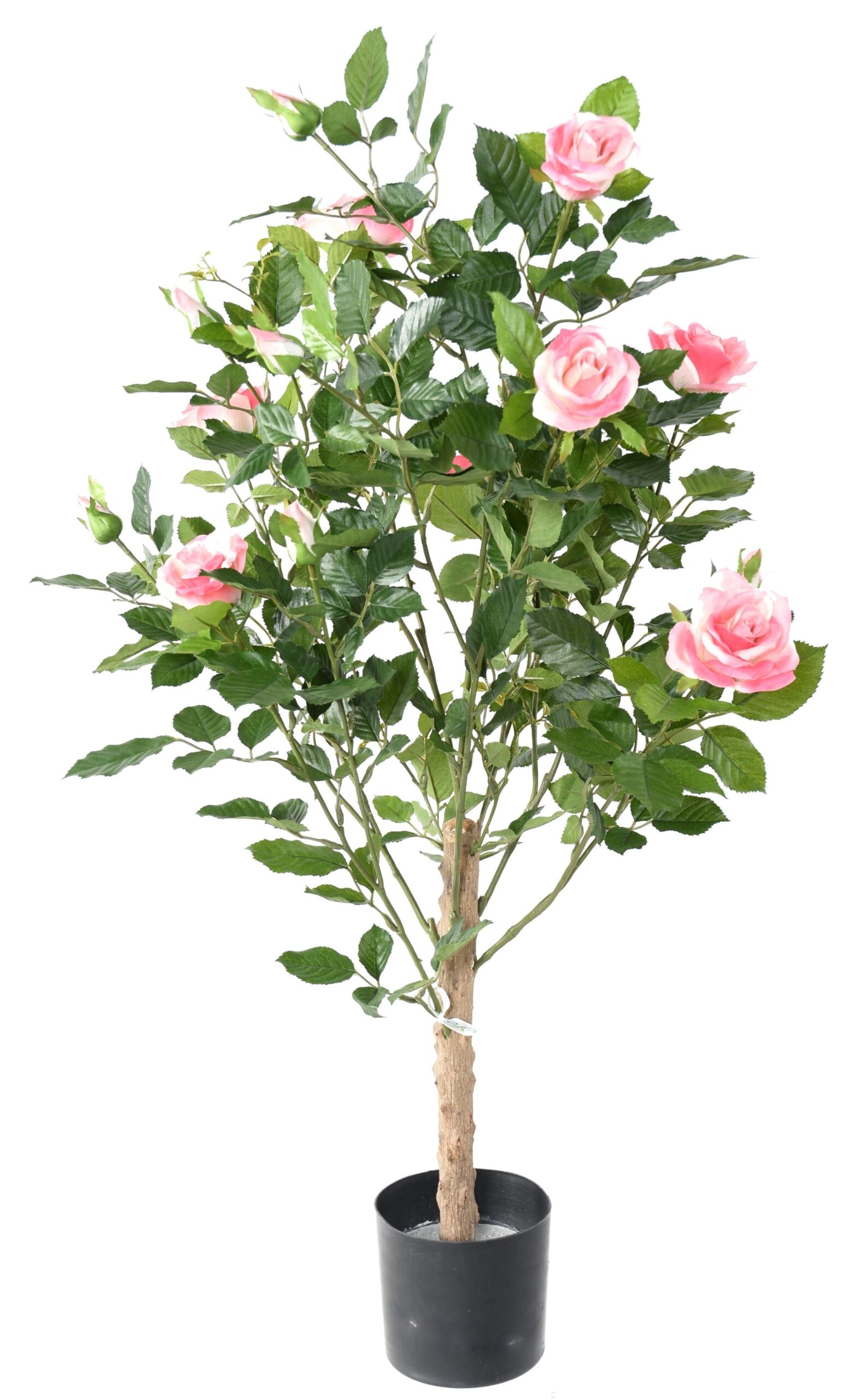 Künstlicher Rosenbaum, ca. 150cm hoch, rosa 1 Künstlicher Rosenbaum, ca. 150cm hoch, rosa