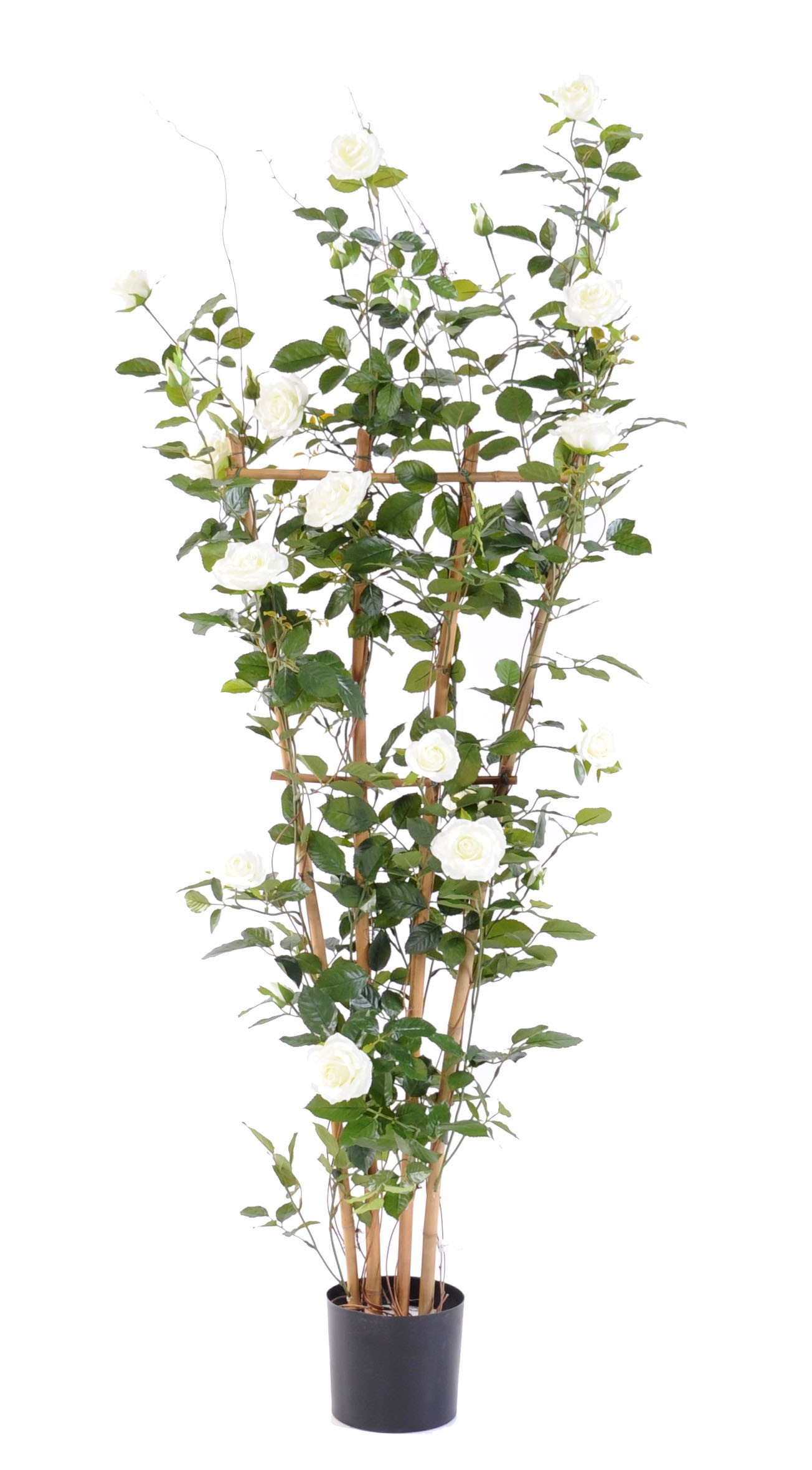 Künstlicher Rosenbaum, ca. 160cm hoch, weiß 1 Künstlicher Rosenbaum, ca. 160cm hoch, weiß