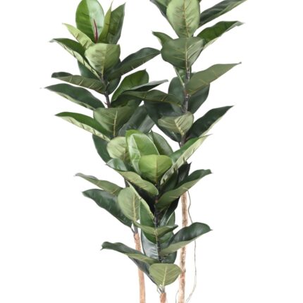 Künstlicher Gummibaum, ca. 170cm hoch, grün