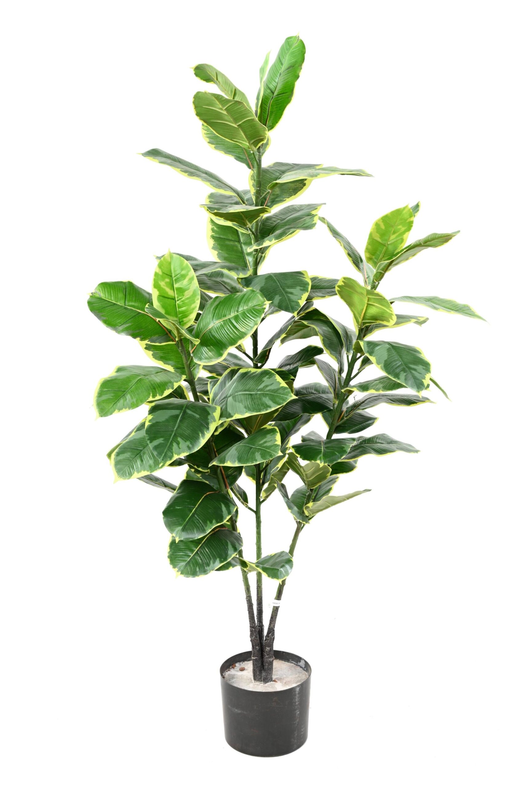 Künstlicher Gummibaum, ca. 125cm hoch, grün 1 Künstlicher Gummibaum, ca. 125cm hoch, grün