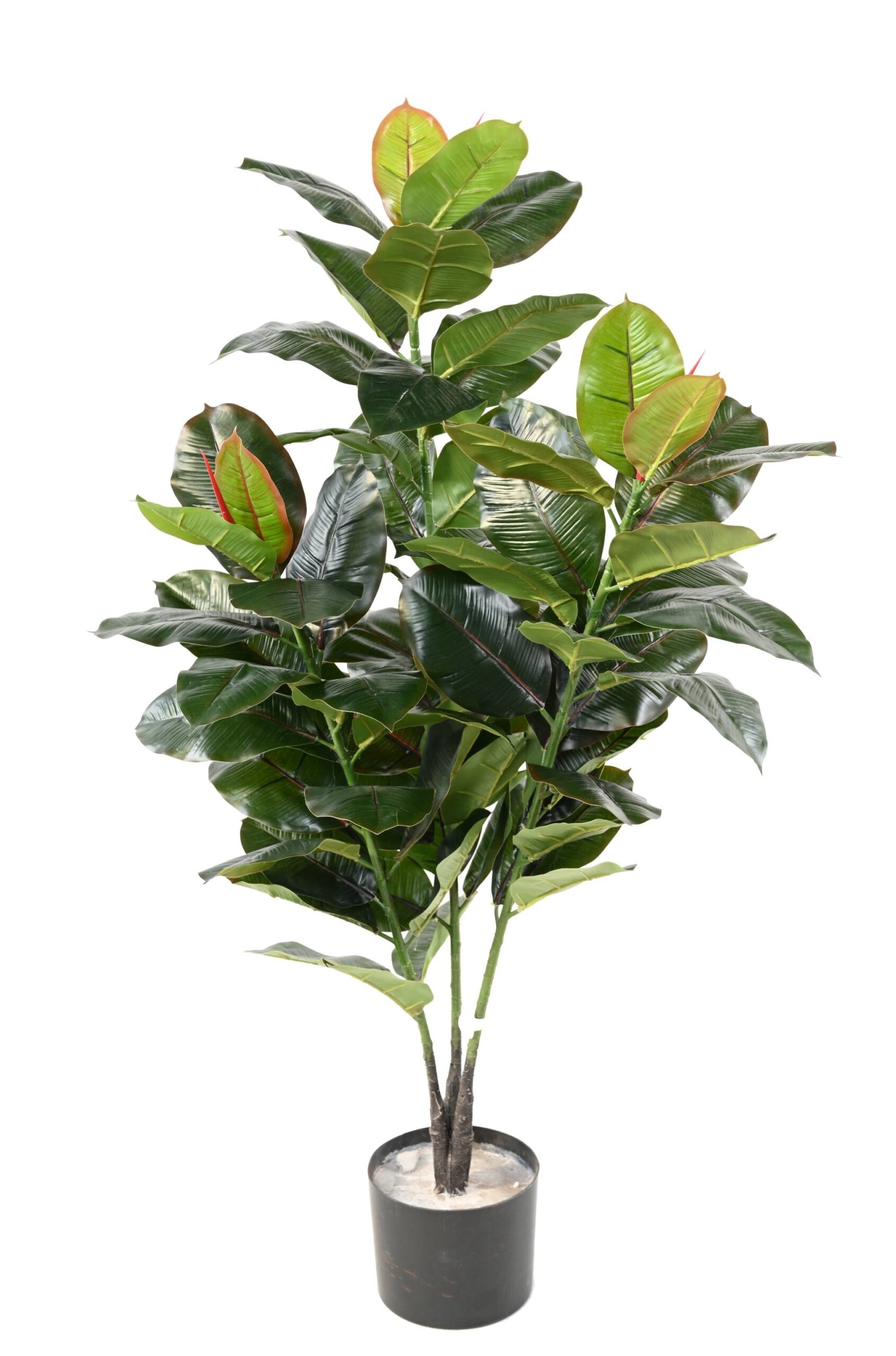 Künstlicher Gummibaum, ca. 125cm hoch, grün 1 Künstlicher Gummibaum, ca. 125cm hoch, grün